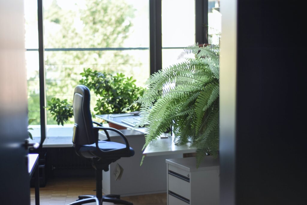 Les plantes de bureau pour le télétravail